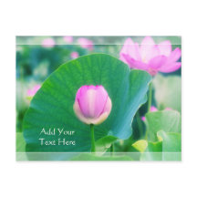 Beautiful Pink Lotus Bud Flower Green Leaf Blossom