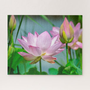 Beautiful Pink Lotus Flowers Jigsaw Puzzle