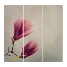 Beautiful pink magnolia flower