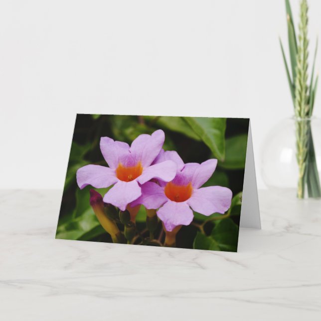 Beautiful Pink Mandevilla Flowers Note Card (Front)