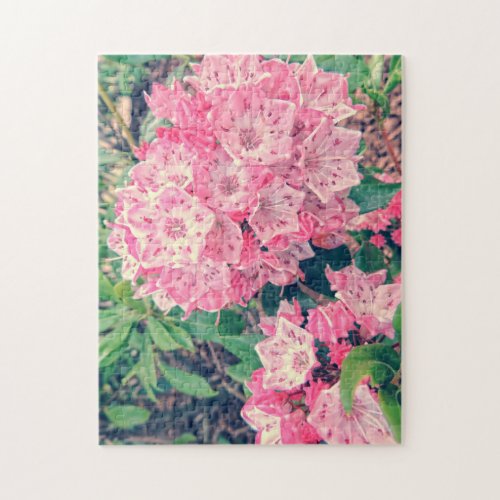 Beautiful Pink Mountain Laurel Flower Blossom Jigsaw Puzzle