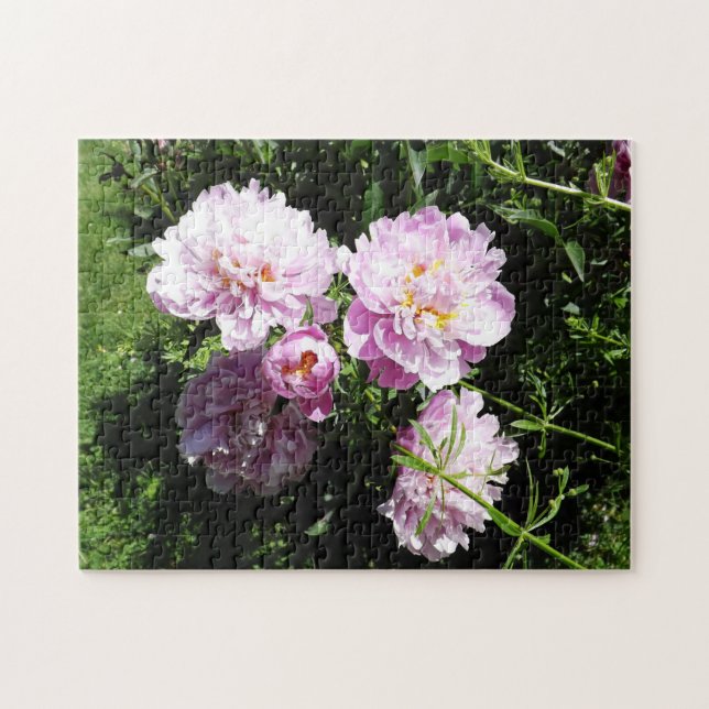 Beautiful Pink Peonies Floral Jigsaw Puzzle (Horizontal)