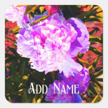 Beautiful Pink Peonies