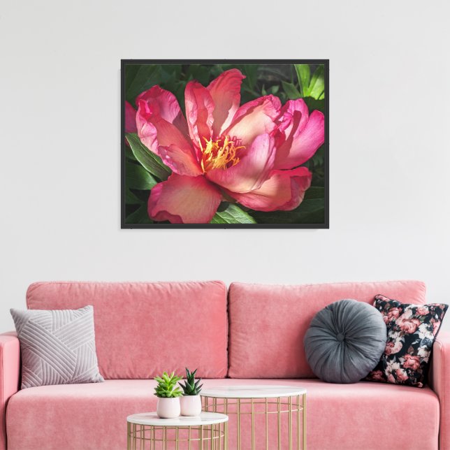 Beautiful Pink Peony Bloom Floral Canvas Print (Insitu(LivingRoom))