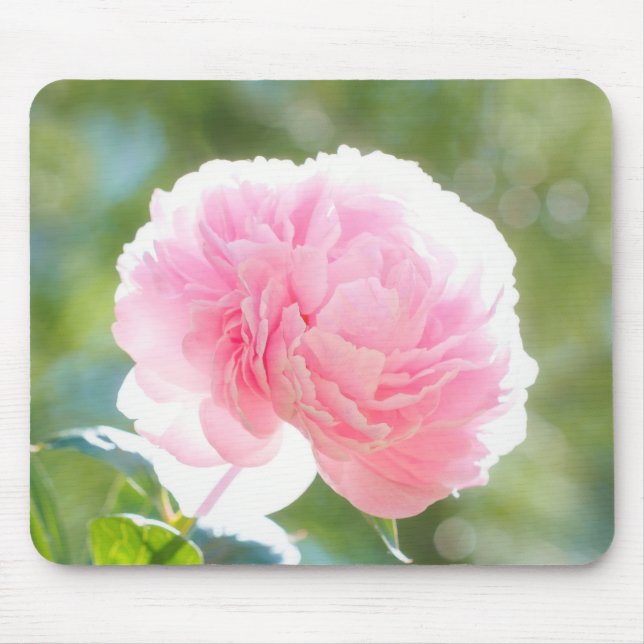 Beautiful Pink Peony Flower in Sunlight Mouse Pad (Front)
