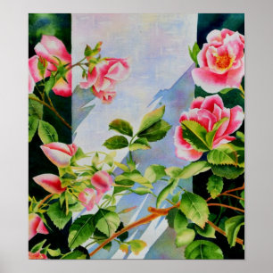 Beautiful pink red white roses watercolor floral poster