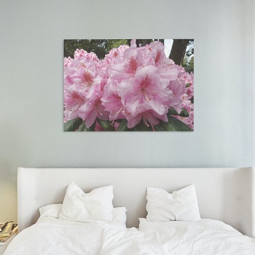 Beautiful Pink Rhododendron Blooms Floral Canvas Print