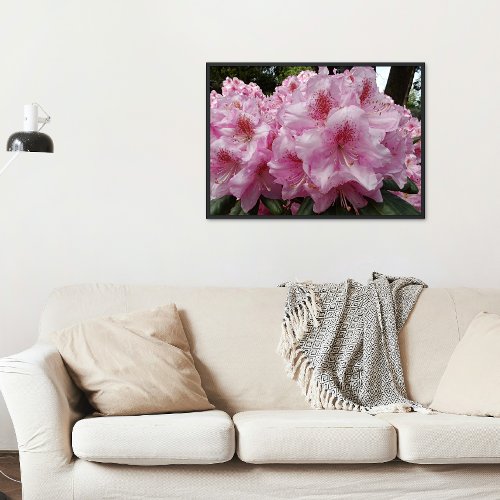 Beautiful Pink Rhododendron Blooms Floral Poster