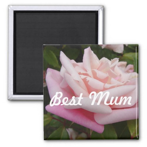 Beautiful Pink Rose Best Mom Flower Design Magnet