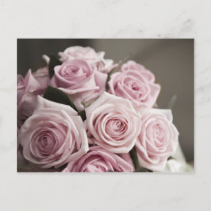 Beautiful pink rose bouquet postcard