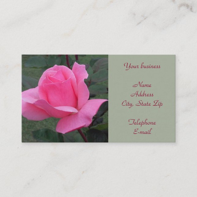 Beautiful Pink Rose Business Card (Front)