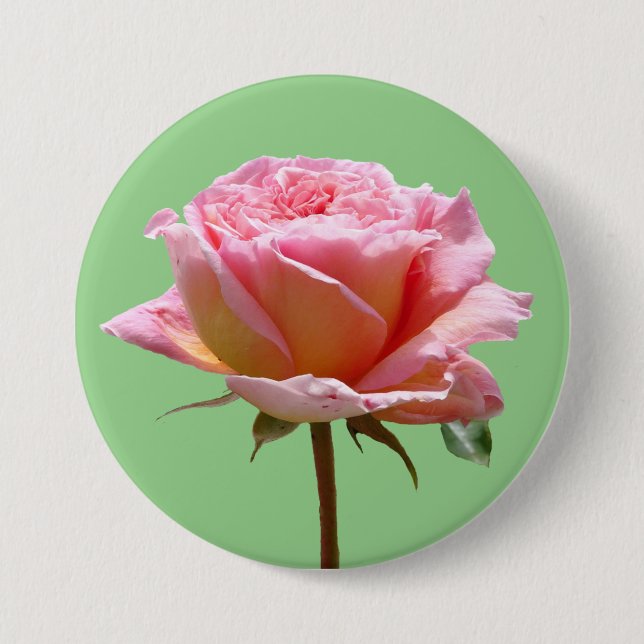 Beautiful Pink Rose Close Up Cust. BG Button (Front)
