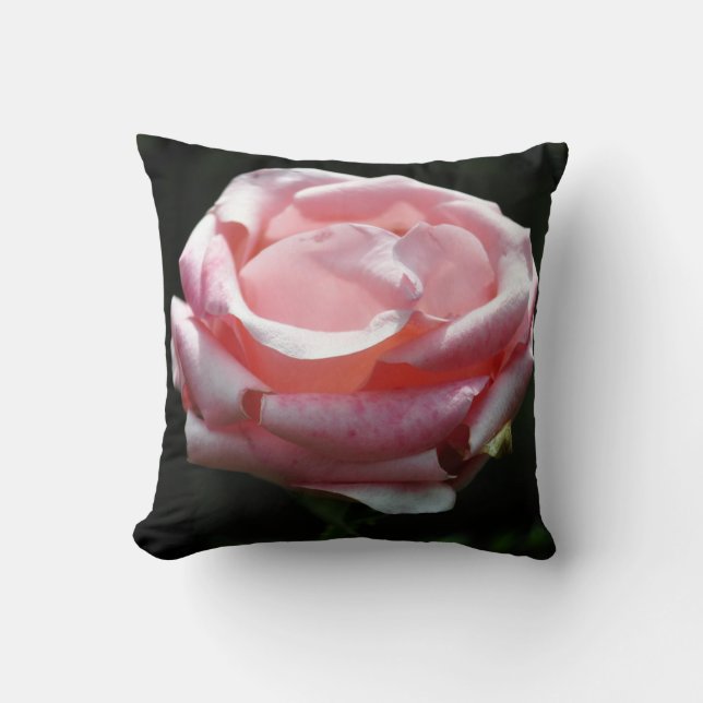 Beautiful Pink Rose Close-up Throw Pillow (Front)