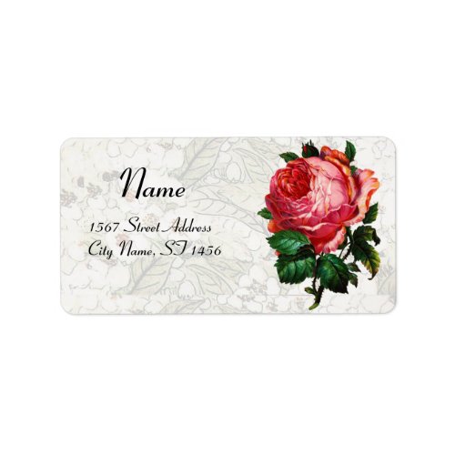 BEAUTIFUL PINK ROSE Floral White Label