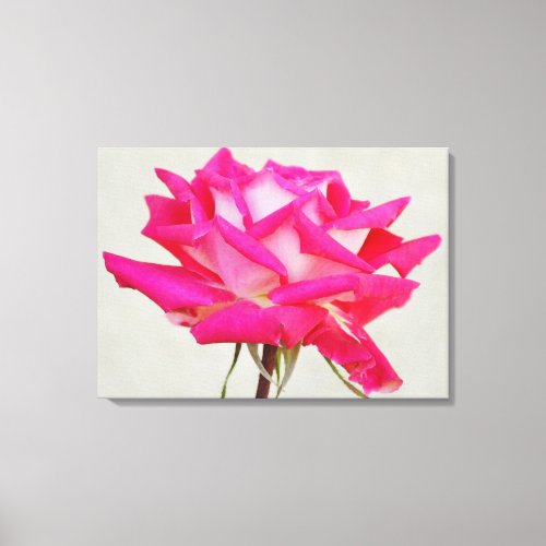 Beautiful Pink Rose Flower Artsy Canvas Print