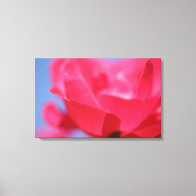 Beautiful Pink Rose Flower Canvas Print (Front)