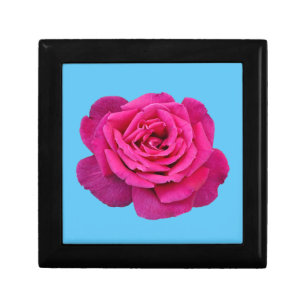 Beautiful pink rose gift box