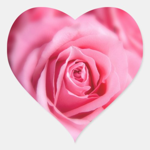 Beautiful Pink Rose Heart Sticker