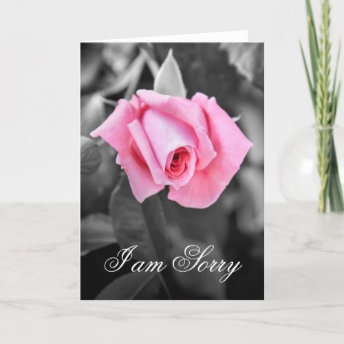 Beautiful pink rose I am sorry floral card