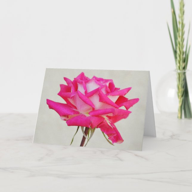 Beautiful Pink Rose in Bloom Art Note Card (Front)