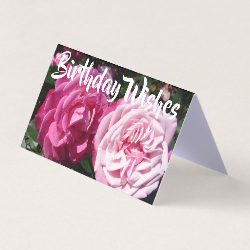 Beautiful Pink Rose Love Birthday Greetings Card