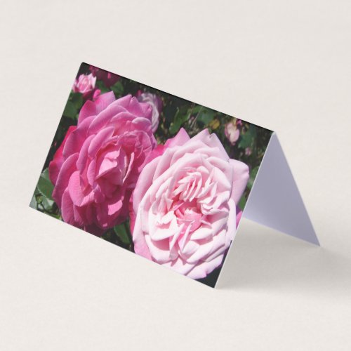 Beautiful Pink Rose Love Greetings Card