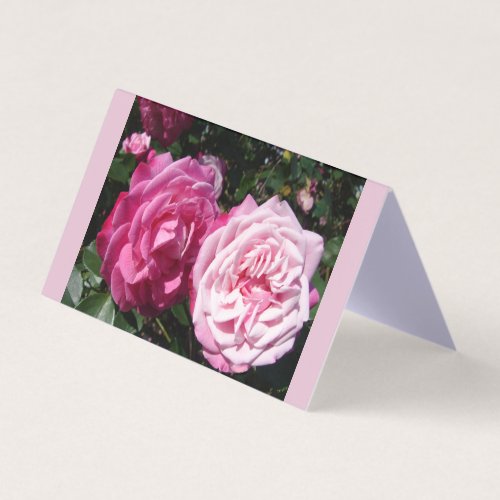 Beautiful Pink Rose Love Greetings Card