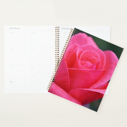 Beautiful Pink Rose Macro Photograph  Planner