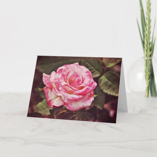 Beautiful Pink Rose Scripture Card Psalm 10226