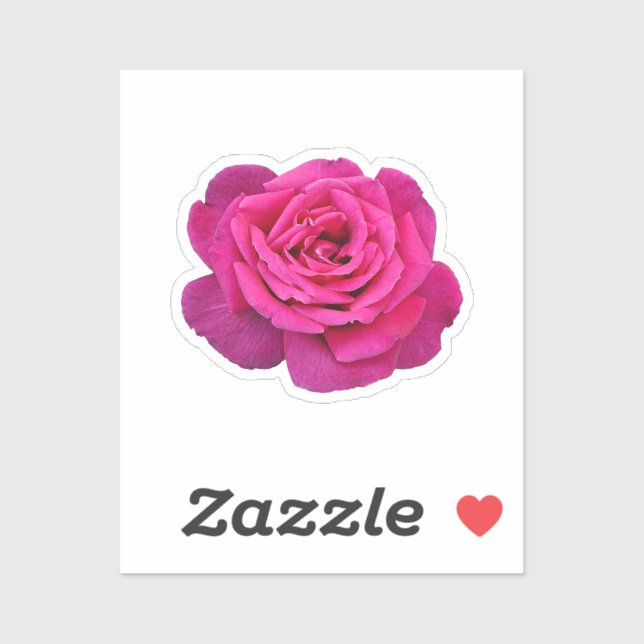 Beautiful pink rose sticker (Sheet)