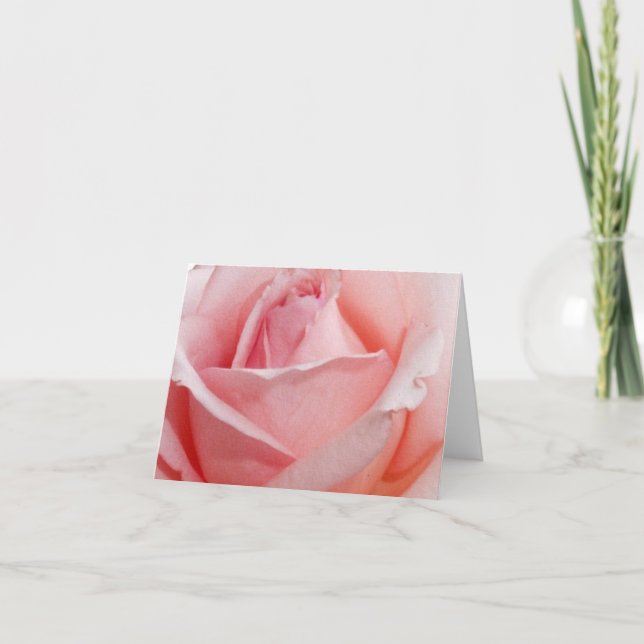 Beautiful Pink Rose Thank You Card (Front)