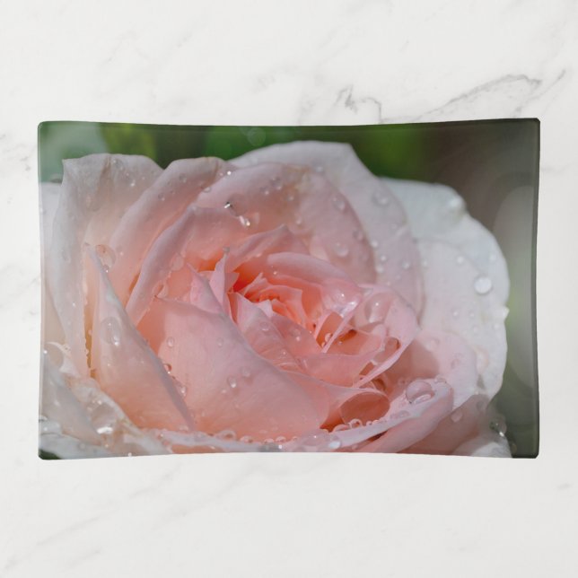 Beautiful pink rose trinket tray (Front)