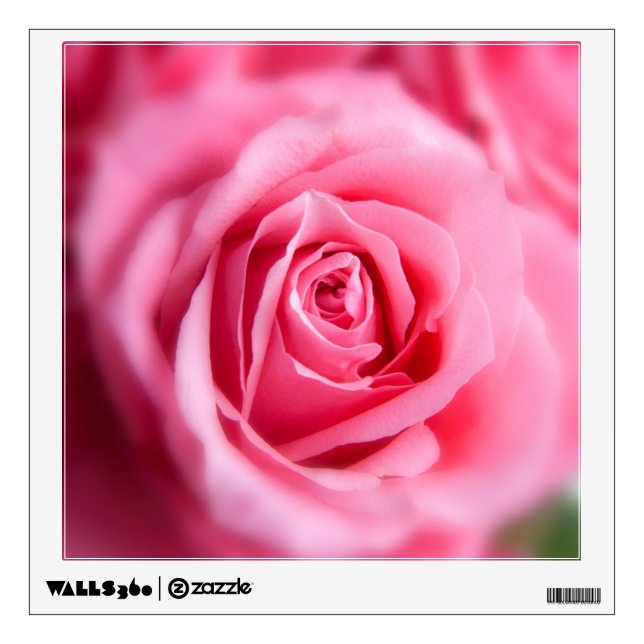 Beautiful Pink Rose Wall Decal (Front)