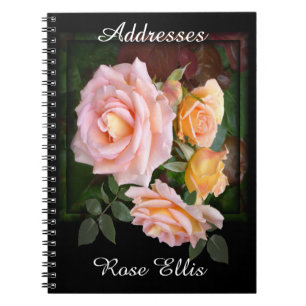 Beautiful Pink Roses Address Notebook