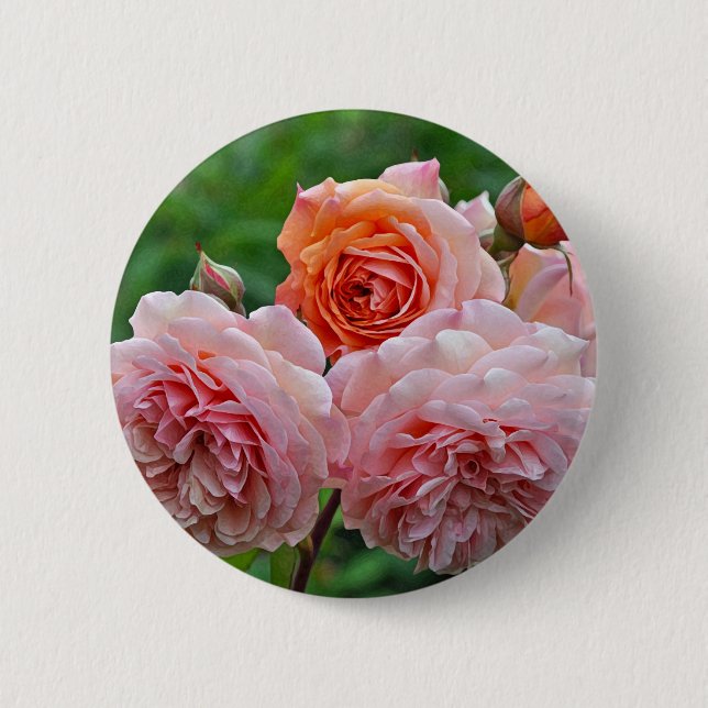 Beautiful pink roses button (Front)