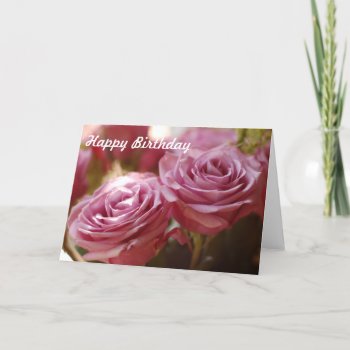 Beautiful Pink Roses Card by CindyBeePhotography at Zazzle