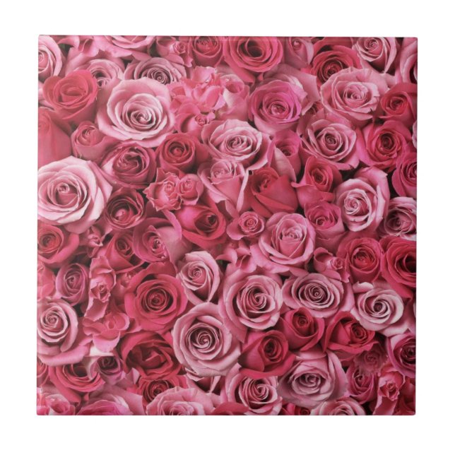Beautiful Pink Roses Ceramic Tile (Front)