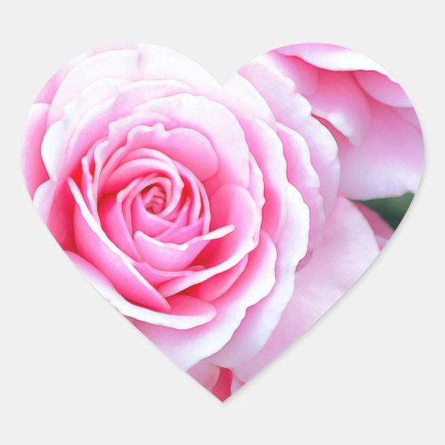 Beautiful pink roses heart sticker (Front)
