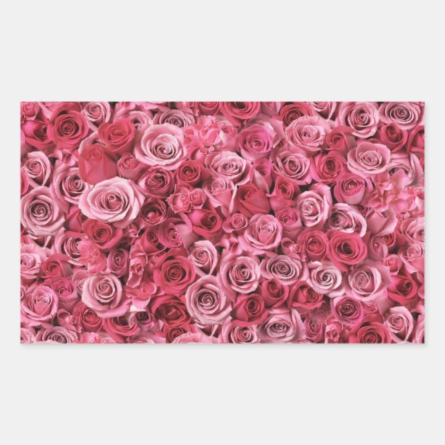 Beautiful Pink Roses Rectangular Sticker (Front)