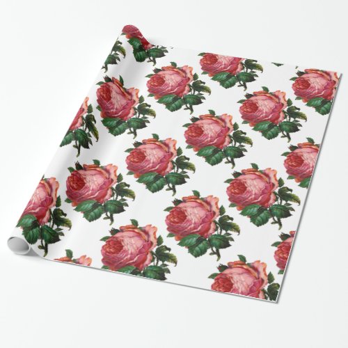 BEAUTIFUL PINK ROSES White Wrapping Paper