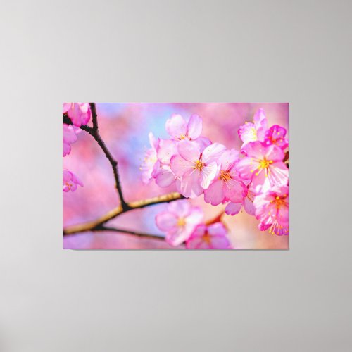 Beautiful Pink Sakura Flowers In Springtime Canvas Print