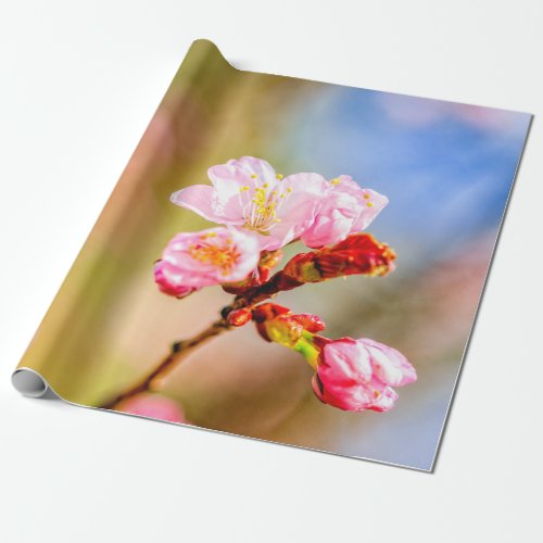 Beautiful Pink Sakura Flowers On A Sunny Day Wrapping Paper