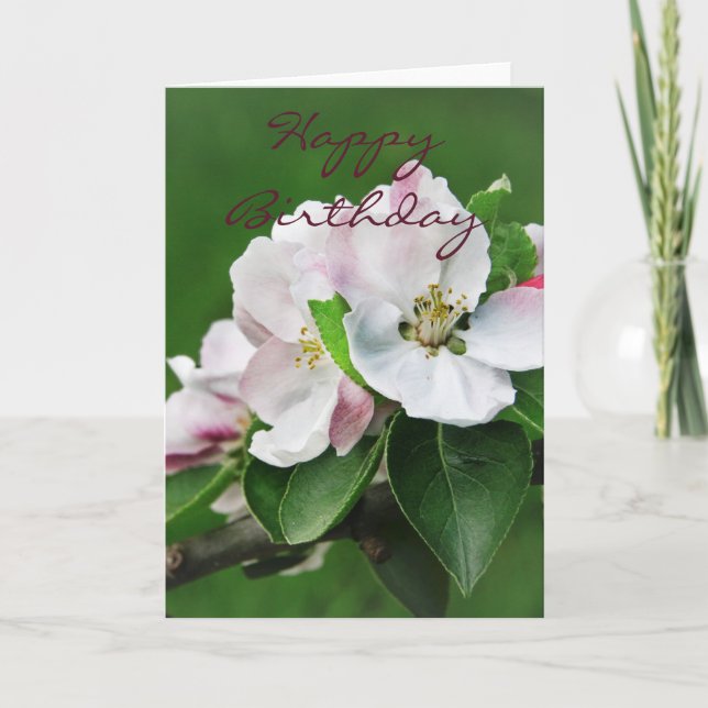 Beautiful Pink Spring Blossoms Happy Birthday Card (Front)