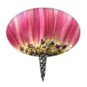 Beautiful Pink Sunflower Cake Pick