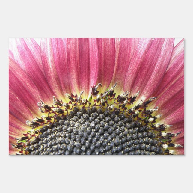 Beautiful Pink Sunflower Decorative Yard Sign (Front)