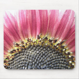 Beautiful Pink Sunflower Mousepad