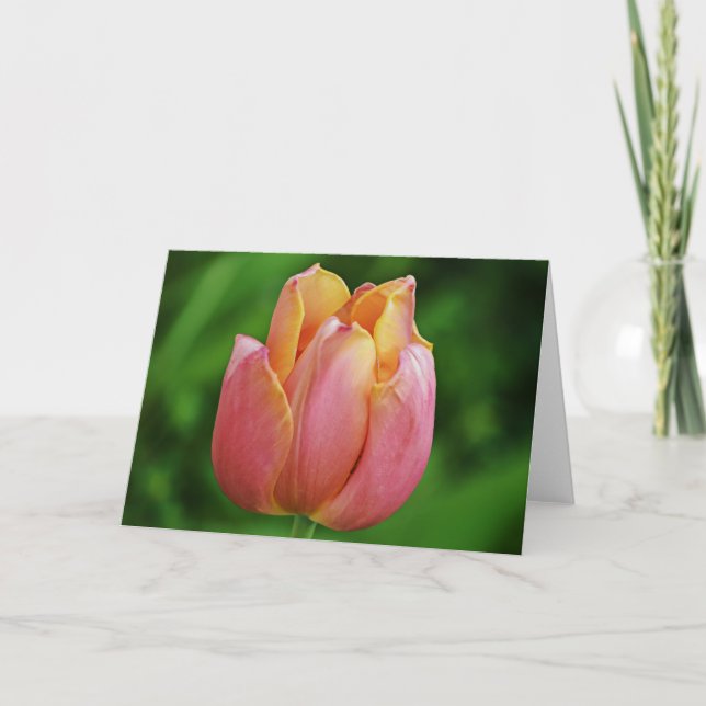 Beautiful Pink Tulip Art Note Card (Front)