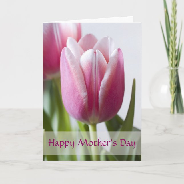 Beautiful Pink Tulip, Happy Mother's Day Card (Front)