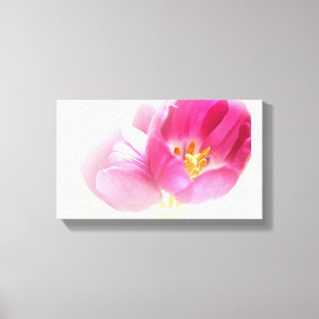 BEAUTIFUL PINK TULIPS CANVAS PRINT (Front)