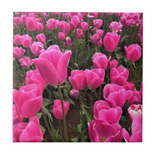 Beautiful Pink Tulips, Oregon Ceramic Tile
